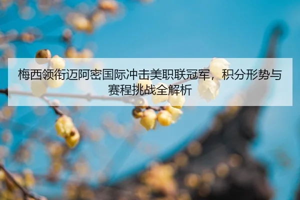 mei-xi-ling-xian-mai-a-mi-guo-ji-chong-ji-mei-zhi-lian-guan-jun-ji-fen-xing-shi-yu-sai-cheng-tiao-zhan-quan-jie-xi-2-767.jpg