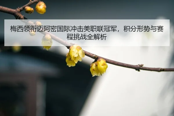 mei-xi-ling-xian-mai-a-mi-guo-ji-chong-ji-mei-zhi-lian-guan-jun-ji-fen-xing-shi-yu-sai-cheng-tiao-zhan-quan-jie-xi-3-379.jpg