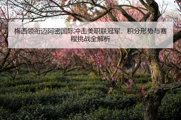 梅西领衔迈阿密国际冲击美职联冠军，积分形势与赛程挑战全解析