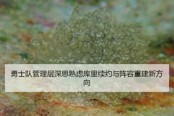 yong-shi-dui-guan-li-ceng-shen-si-shu-lv-ku-li-xu-yue-yu-zhen-rong-chong-jian-xin-fang-xiang-3-450.jpg
